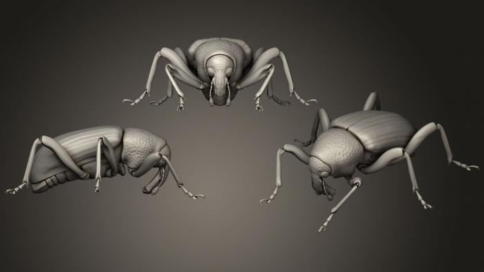 Insects (INSCT_0060) 3D model for CNC machine